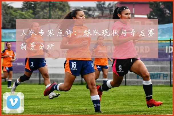 人队专家点评:球队现状与季后赛前景分析